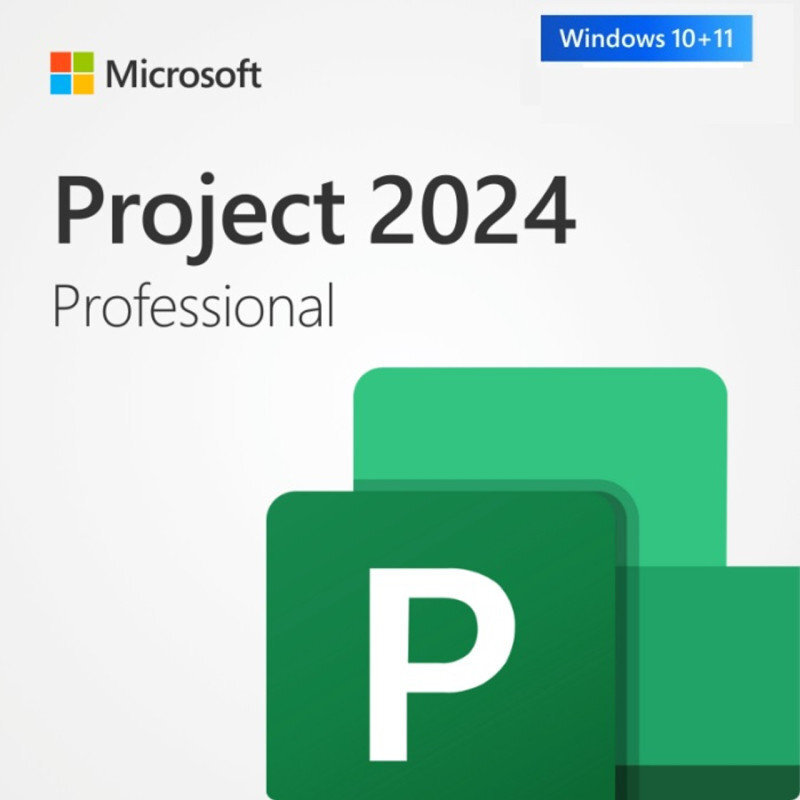 Microsoft Project Professional 2024