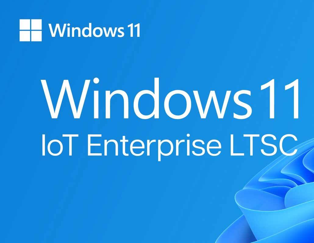 Windows 11 IoT Enterprise LTSC 2024