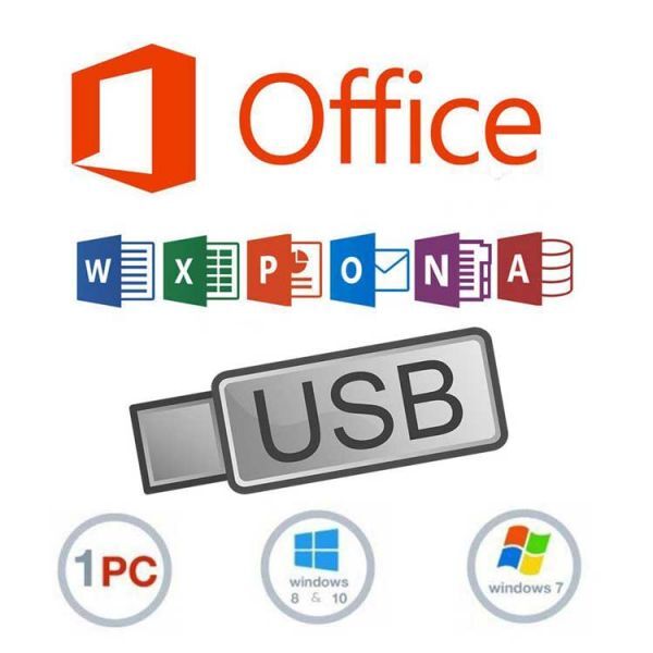 Microsoft Office Professional Plus 2019 USB