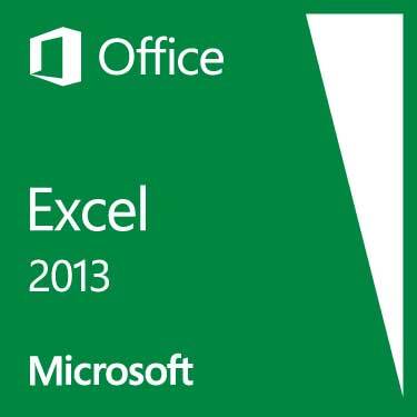 Microsoft Excel 2013