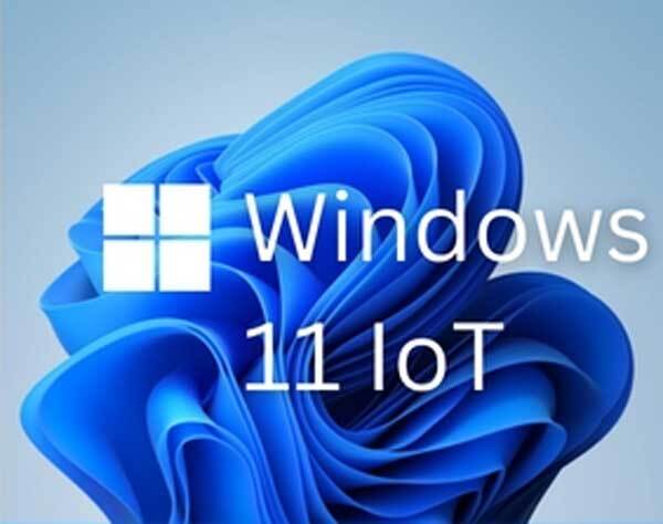 Windows 11 IoT Enterprise LTSC 2024