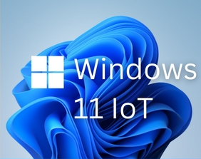 Windows 11 IoT Enterprise LTSC 2024